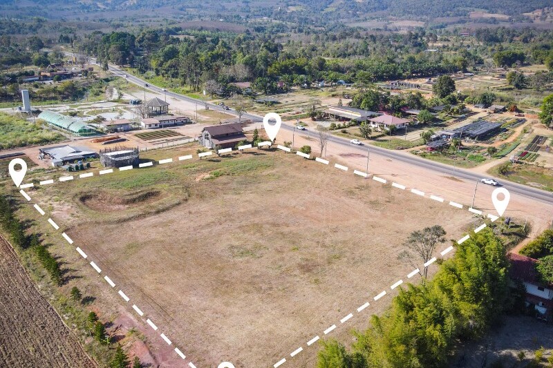 Plot for Home